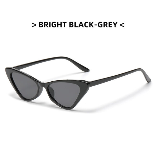 Wholesale Small Frame Cat Eye PC Sunglasses