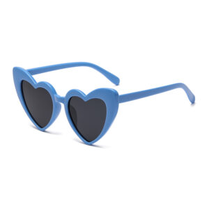 C20 solid blue frame gray