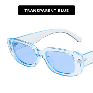 Metal hinge / Transparent Blue