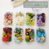 Wholesale DIY Handmade Mixed Dried Flowers Boxed Material Package Real Flowers Natural Air-dried Decorative Ornaments Dripping Glue Flower Material