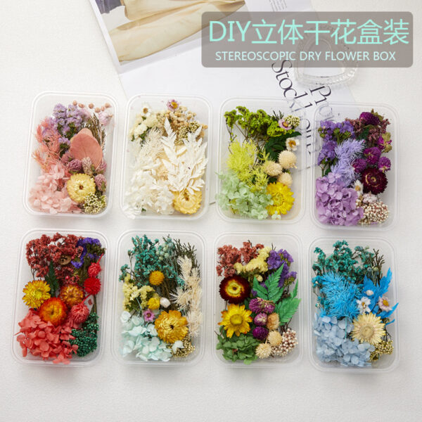 Wholesale DIY Handmade Mixed Dried Flowers Boxed Material Package Real Flowers Natural Air-dried Decorative Ornaments Dripping Glue Flower Material
