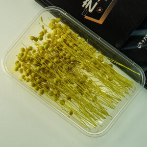 Orange acacia beans 10g