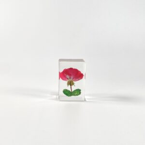 Rose (6 starting shots)