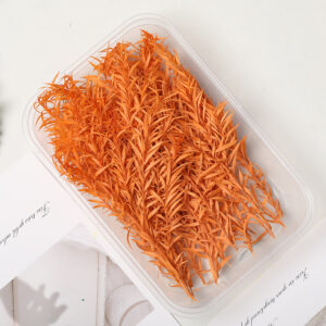 Bleached thousand layer gold orange 10g