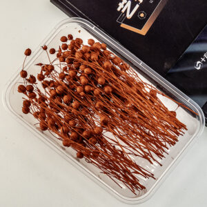 Red acacia beans 10g