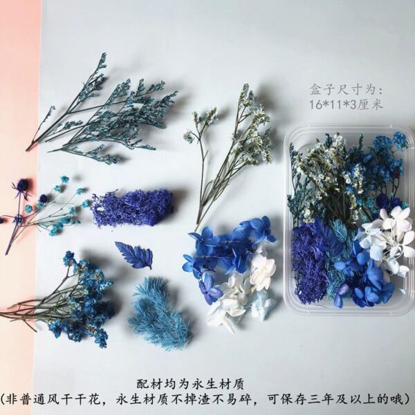 O1CN01AapeXi2M5Sk6SxMEz_2212939889776-0-cib Wholesale Eternal Flower Baby's Breath Daisy Dried Flower Floating Flower Pressed Flower Kindergarten Handmade Flower Art Diy Filling Material