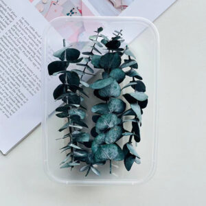 Boxed blue-green eucalyptus (10 pieces)