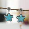 O1CN01BK0AQL1qyMX7HpUwl_2206372095564-0-cib-1 Wholesale of Western Fengda Five-point Star Turquoise Alloy Earrings