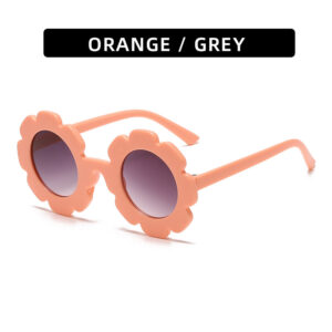 C36-Orange Frame Double Grey Slice