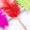 Wholesale Color Feather Pen Ballpoint Pen