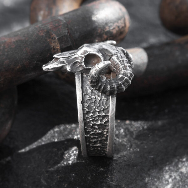 O1CN01D5OW651ql52murQYX_3024325535-0-cib Wholesale Alloy Retro Punk Skull Horn Ring