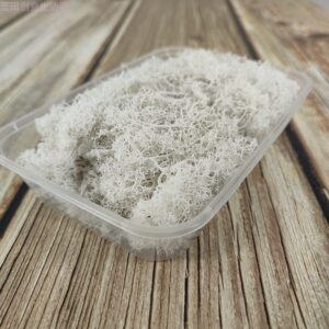 White moss 20g