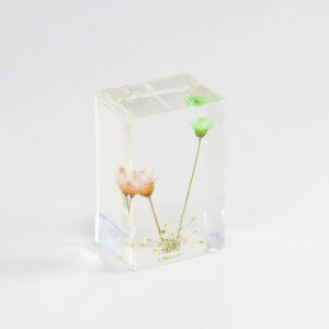 Pink + light green small star flower (6 starting shots)