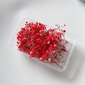 Red gypsophila 10g
