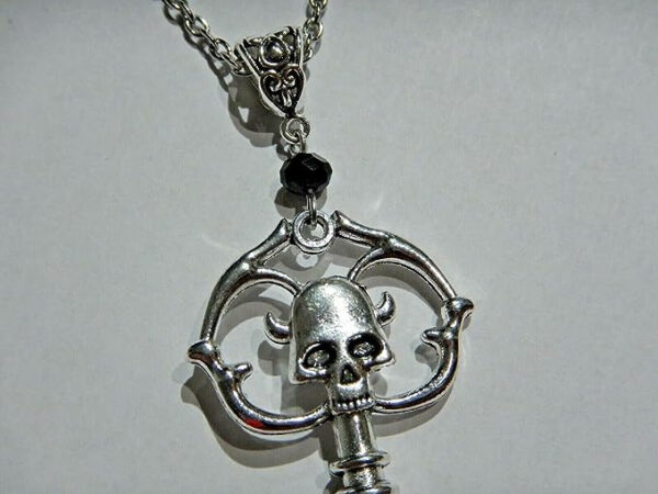 O1CN01EFPlOJ1QXdTZv1yPj_2216588181986-0-cib Wholesale Gothic Dark Skull Key Necklace