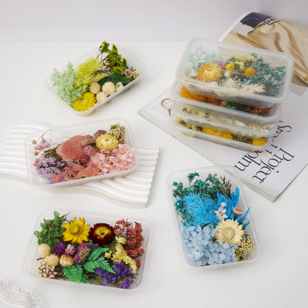 Wholesale DIY Handmade Mixed Dried Flowers Boxed Material Package Real Flowers Natural Air-dried Decorative Ornaments Dripping Glue Flower Material