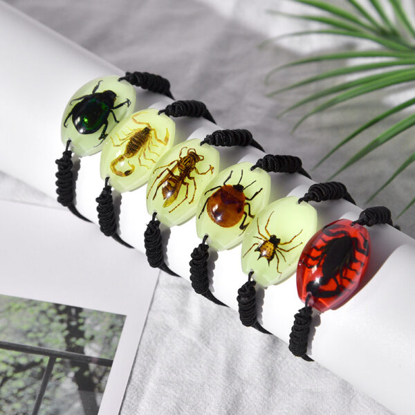 O1CN01GHZGAA1DYT8k0Mx1n_2213118690228-0-cib Wholesale 6pcs High Transparent Resin Insect Amber Woven Specimen Bracelet