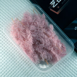 Pink penglai pine 10g