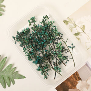 Blue millet fruit 10g