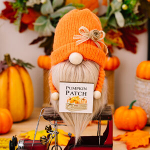 Harvest season country dwarf ornaments Orange