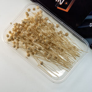 White acacia beans 10g