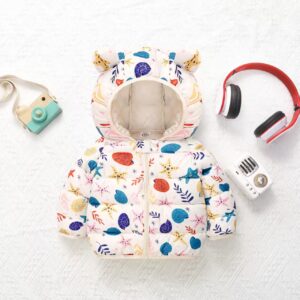 Conch rice (jiehua ears) / 90cm