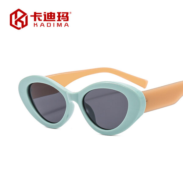 Wholesale Cat Eye Jelly PC Sunglasses