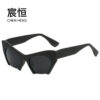 Wholesale PC Cat Eye Ladies Sunglasses