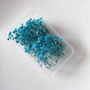 Blue gypsophila 10g