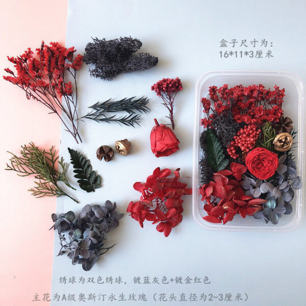 O1CN01JLU1eF2M5Sk3kAyrw_2212939889776-0-cib Wholesale Eternal Flower Baby's Breath Daisy Dried Flower Floating Flower Pressed Flower Kindergarten Handmade Flower Art Diy Filling Material