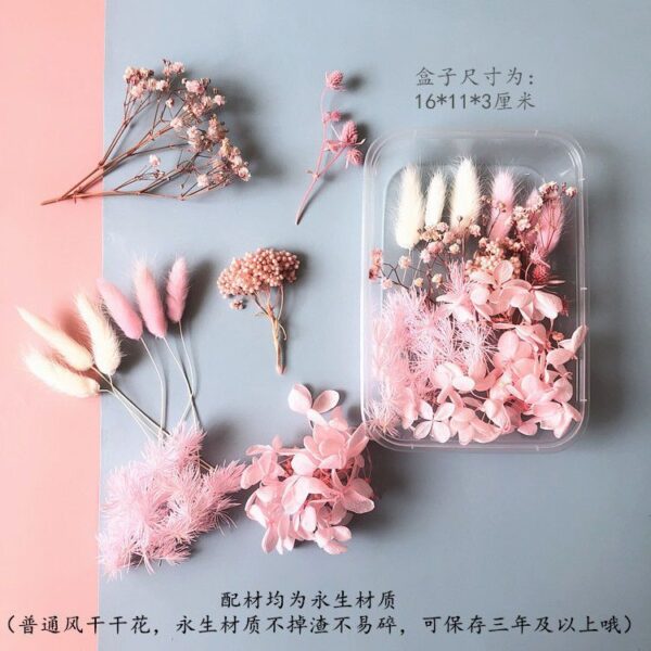 O1CN01JQIsp52M5Sk4RP7aQ_2212939889776-0-cib Wholesale Eternal Flower Baby's Breath Daisy Dried Flower Floating Flower Pressed Flower Kindergarten Handmade Flower Art Diy Filling Material
