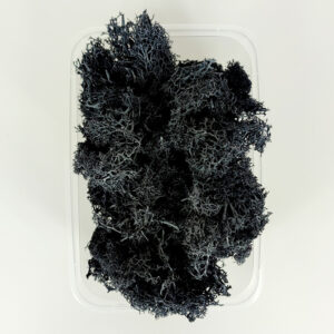 Black moss 20g