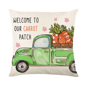 JYM269-1 / 45*45cm (excluding pillow core)