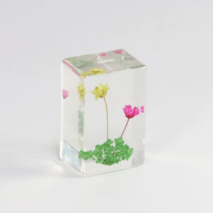 Yellow + rose red small star flower (6 starting shots)