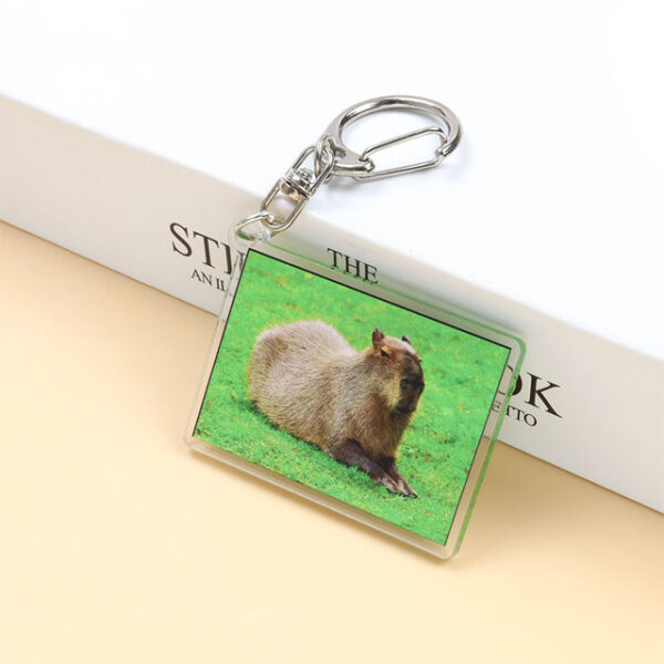 O1CN01L5PNNa23FYo75Je4t_2212519627226-0-cib Wholesale Acrylic Capybara Keychain