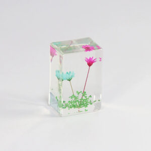 Blue + rose red small star flower (6 starting shots)