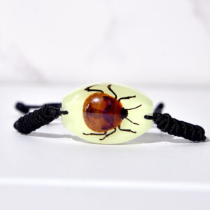 Luminous flower stones