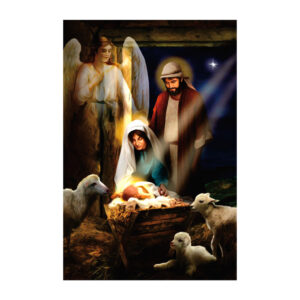 Flag cloth 30*45cm / Christmas garden flag 21