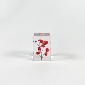 Big red baby's breath (6 starting shots)