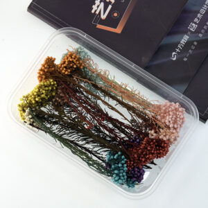 Random colors mix and match xiao mi flowers 10g