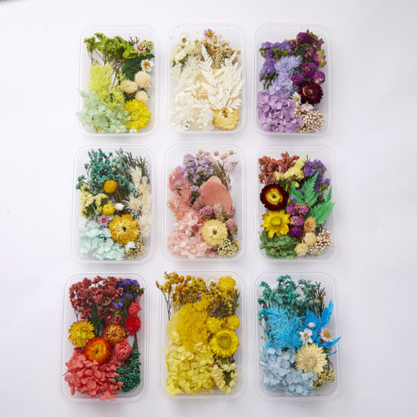 Wholesale DIY Handmade Mixed Dried Flowers Boxed Material Package Real Flowers Natural Air-dried Decorative Ornaments Dripping Glue Flower Material