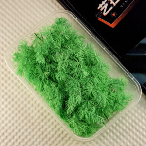 Green penglai pine 10g