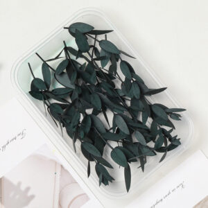 Blue eucalyptus leaves 10g