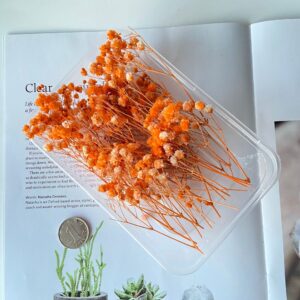 Orange gypsophila 10g