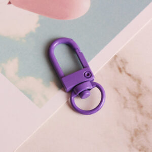 Dark purple / Small door buckle