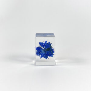 Sapphire blue black seed (6 starting shots)