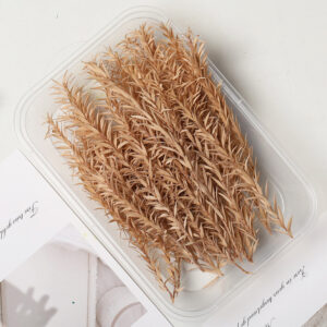 Bleached thousand layer gold coffee color 10g