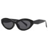 Wholesale Elliptical Small Frame PC Sunglasses