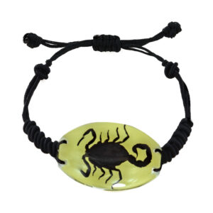 Glow-in-the-dark black scorpion