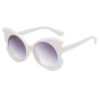 Wholesale New Butterfly Frame PC Sunglasses